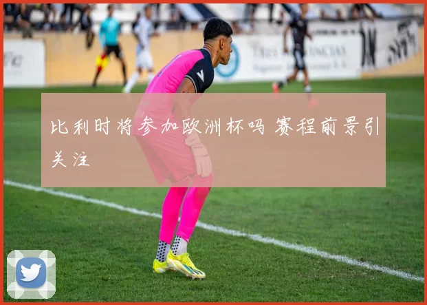 比利时将参加欧洲杯吗 赛程前景引关注